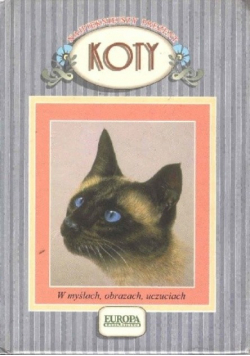 Koty w myślach obrazach uczuciach