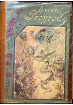 Z naszej przyrody 1903r