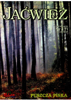 Jaćwież nr 17