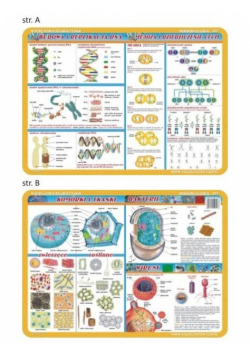 Podkładka edu. 057 - Budowa i replikacje DNA...