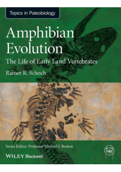 Amphibian Evolution