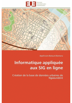Informatique appliquée aux sig en ligne