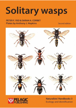 Solitary wasps