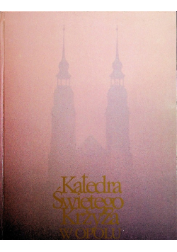 Katedra Świętego Krzyża w Opolu