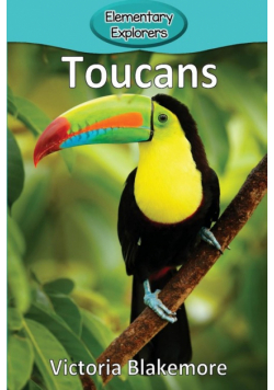 Toucans