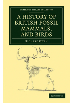 A History of British Fossil Mammals, and Birds