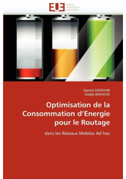 Optimisation de la consommation d energie pour le routage