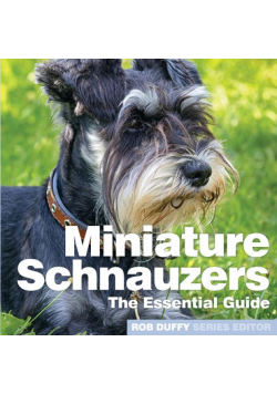 Miniture Schnauzers