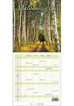 Kalendarz 2023 Wieloplanszowy - Malowniczy las