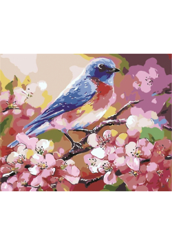 Malowanie po numerach - Wiosenny ptaszek 40x50cm