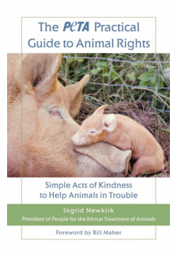 The Peta Practical Guide to Animal Rights