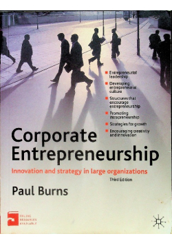Corporate Entrepreneurship Innovation and Strategy in Large Organizations
