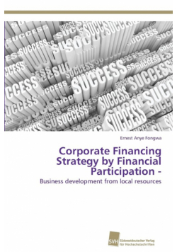 Corporate Financing Strategy by Financial Participation -
