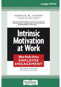 Intrinsic Motivation at Work (16pt Large Print Edition)