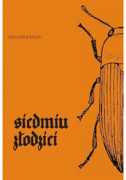 Siedmiu złodziei