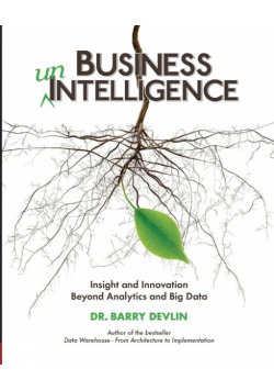 Business unIntelligence
