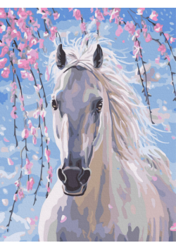 Malowanie po numerach 30x40cm Magiczny koń