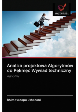 Analiza projektowa Algorytmów do Pęknięć Wywiad techniczny