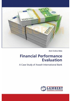 Financial Performance Evaluation