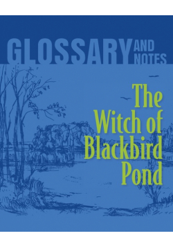 The Witch of Blackbird Pond Glossary and Notes
