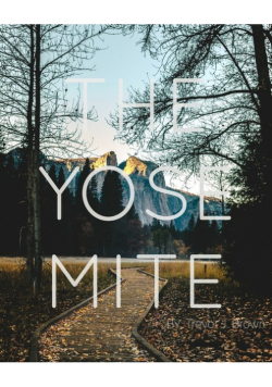 The Yosemite Volume. I