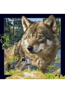 Magnes 3D Wilk