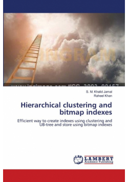 Hierarchical clustering and bitmap indexes