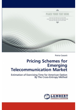 Pricing Schemes for Emerging Telecommunication Market