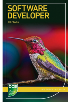 Software Developer