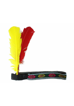 Opaska Indianina