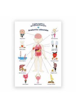 Plakat edukacyjny. Anatomia człowiek A2