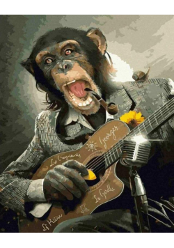 Malowanie po numerach - Małpa z gitarą 40x50 cm