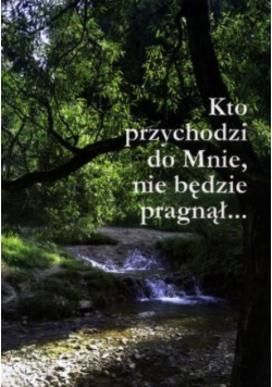 Kto przychodzi do Mnie nie będzie pragnął