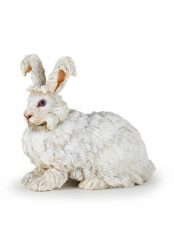 Krolik angora