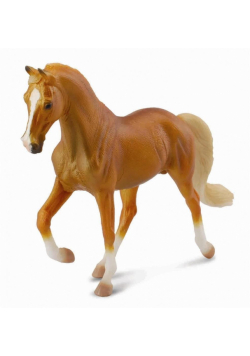 Ogier Tennessee Walking Horse maści izabelowatej