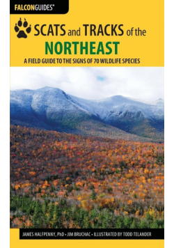 Scats and Tracks of the Northeast