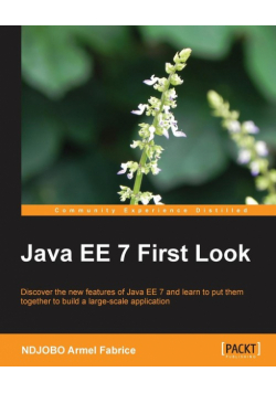 Java Ee 7 First Look