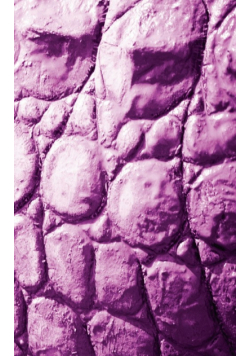 Alive! crocodile skin - Magenta duotone - Photo art notebooks (5 x 8 series)