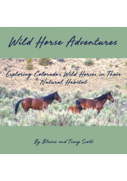 Wild Horse Adventures