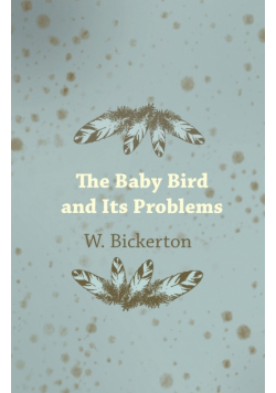 The Baby Bird and Its Problems