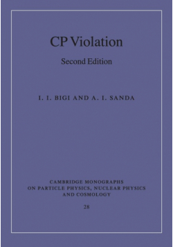 CP Violation