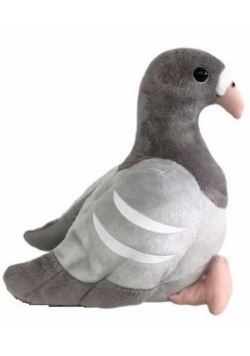 Gołąb szary 24cm