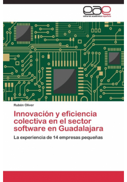 Innovación y eficiencia colectiva en el sector software en Guadalajara