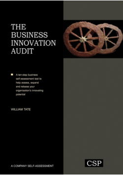 The Business Innovation Audit
