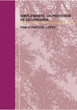 Simplemente, Un Profesor De Secundaria
