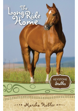The Long Ride Home