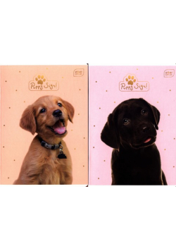 Zeszyt A5 w kratkę 32 kartki Puppy Sign 10 sztuk mix