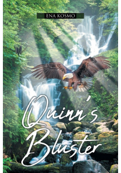 Quinn's Bluster