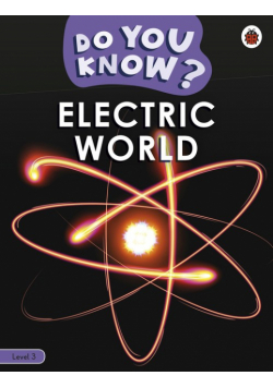Do You Know? Level 3 Electric World