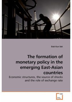 The formation of monetary policy in the emerging East-Asian countries
